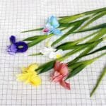 Fleur Iris Artificiel