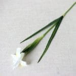 Fleur Iris Artificiel - Blanc