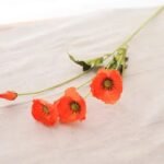 Fleurs Artificielles Coquelicots Pour Une Décoration élégante