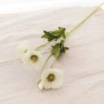 Fleurs Artificielles Coquelicots Pour Une Décoration élégante - Blanc