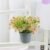 Petites fleurs roses