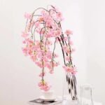fleurs de cerisier japonais evasion printaniere en provence 799 1