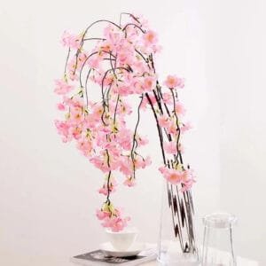 Fleurs De Cerisier Japonais: évasion Printanière En Provence