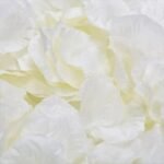 fleurs eternelles petales de roses naturels beige 100 407 1
