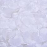 fleurs eternelles petales de roses naturels blanc 100 799 1