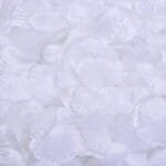 Fleurs éternelles: Pétales De Roses Naturels - Blanc / 100 Pétales