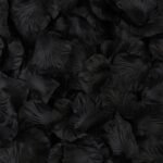 fleurs eternelles petales de roses naturels noir 100 808 1