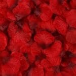 Fleurs éternelles: Pétales De Roses Naturels - Rouge / 100 Pétales