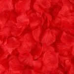 fleurs eternelles petales de roses naturels rouge tomate 100 104 1