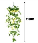fleurs tombantes morning glory pour un eclat floral unique 204 1