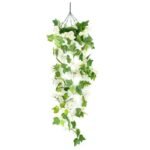 fleurs tombantes morning glory pour un eclat floral unique blanc 497 1