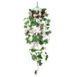 fleurs tombantes morning glory pour un eclat floral unique rose 940 1