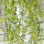 fleurs tombantes plantes decoratives pour interieur et exterieur 411 1