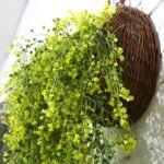 fleurs tombantes plantes decoratives pour interieur et exterieur 535 1