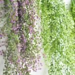 fleurs tombantes plantes decoratives pour interieur et exterieur 671 1
