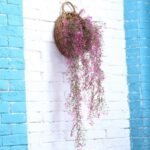 fleurs tombantes plantes decoratives pour interieur et exterieur 807 1