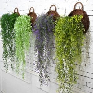 Fleurs Tombantes: Plantes Décoratives Pour Intérieur Et Extérieur