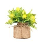 fougere parfum pour homme jaune 754 1