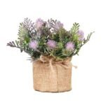 fougere parfum pour homme violet 949 1
