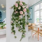 geranium plante dinterieur genereuse et coloree geranium 110 1