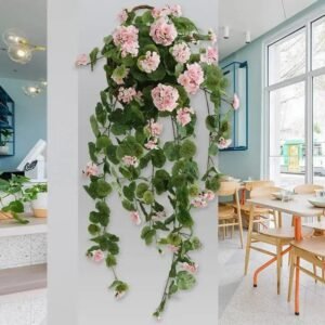 geranium plante dinterieur genereuse et coloree geranium 110 1