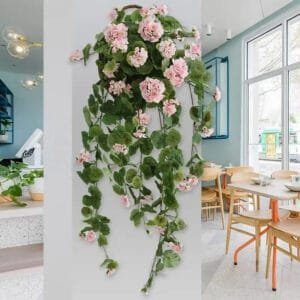 Géranium: Plante D’intérieur Généreuse Et Colorée