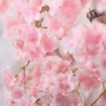 guirlande fleurs de cerisier pour decoration elegante fleurs 138 1
