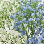 gypsophile artificielle pour decoration interieur elegante 123 1