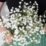 gypsophile artificielle pour decoration interieur elegante 654 1