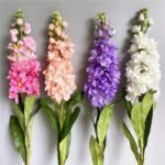 Pissenlit – Plante Médicinale Aux Multiples Bienfaits