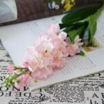 Pissenlit – Plante Médicinale Aux Multiples Bienfaits