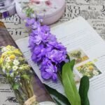 Pissenlit – Plante Médicinale Aux Multiples Bienfaits