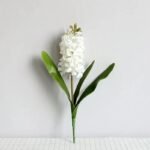 jacinthe elegante et parfumee pour votre interieur blanc 799 1