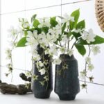 Pissenlit – Plante Médicinale Bio Pour Bien-être Naturel