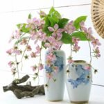 Pissenlit – Plante Médicinale Bio Pour Bien-être Naturel