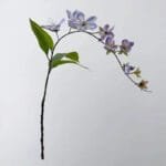 Jasmin - élégance Florale Pour Votre Intérieur - Violet