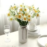 jonquille fleur 1