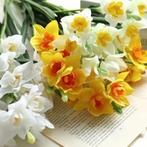 jonquille fleur 203 1