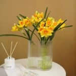 jonquille fleur 211 1