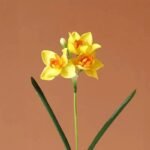 jonquille fleur jaune 1