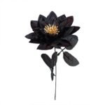 lotus artificielle elegance et inspiration naturelle a domicile noir 450 1