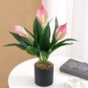 lys bougie parfumee elegante et apaisante 249 1