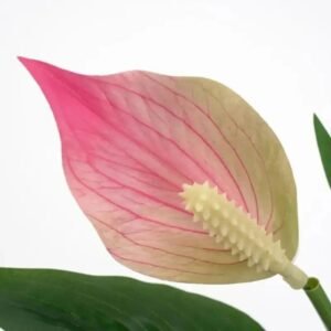 lys bougie parfumee elegante et apaisante 889 1