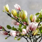 Magnolia Artificiel Pour Une Décoration élégante Et Naturelle