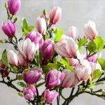 Magnolia Artificiel Pour Une Décoration élégante Et Naturelle