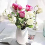 Magnolia - Parfum Floral Délicat Et élégant
