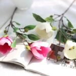 magnolia parfum floral delicat et elegant 372 1