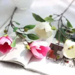 Magnolia - Parfum Floral Délicat Et élégant