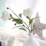 magnolia parfum floral delicat et elegant 622 1