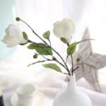 Magnolia - Parfum Floral Délicat Et élégant